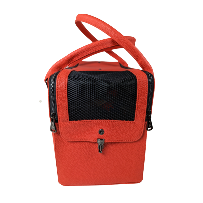 Classi Linda incl. Henkel & Clutch – Bild 12