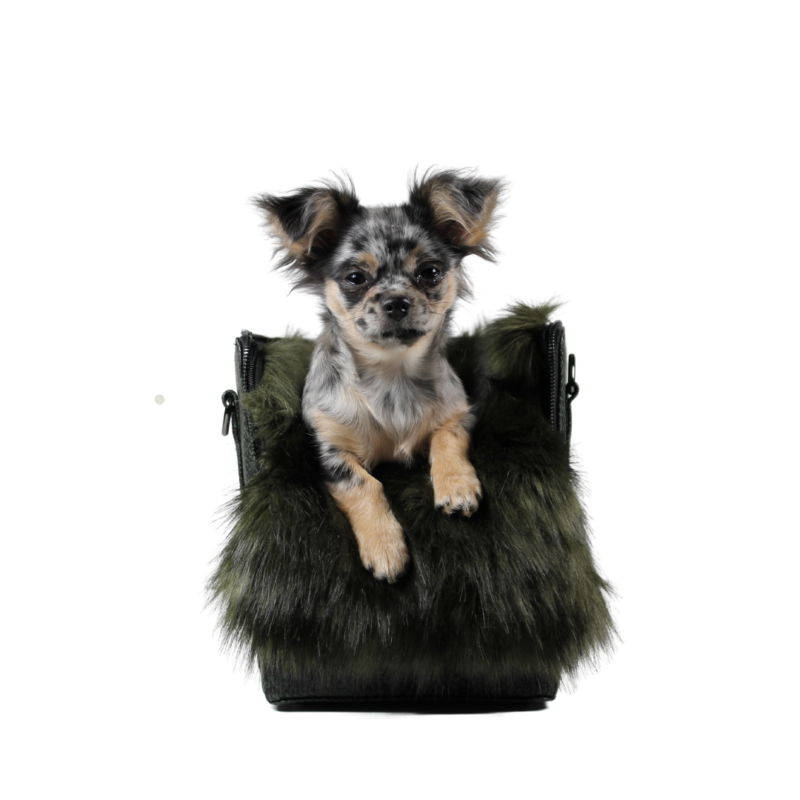 Classi Camouflage – Bild 3