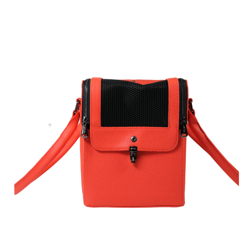 Classi Linda incl. Henkel & Clutch – Bild 3