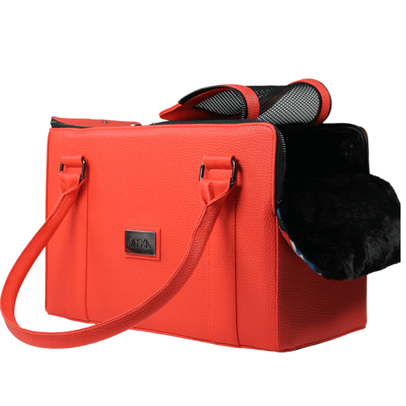 Classi Linda incl. Henkel & Clutch – Bild 2